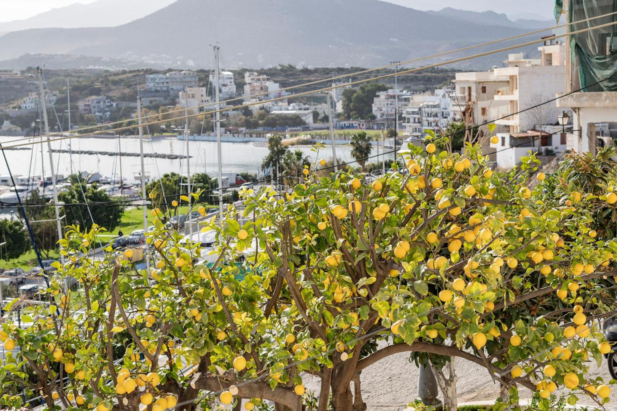 Jelena Apartments By The Sea Agios Nikolaos Exterior foto
